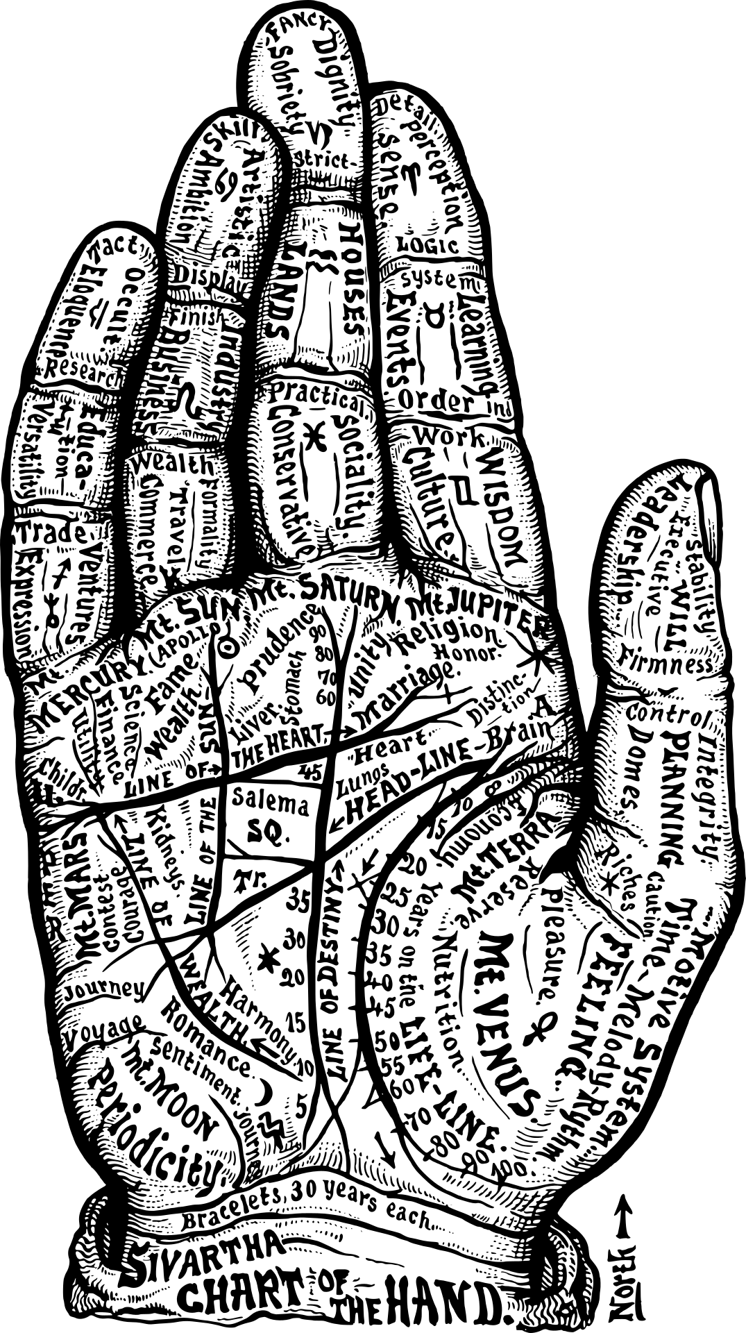 Vibe Structure 14
